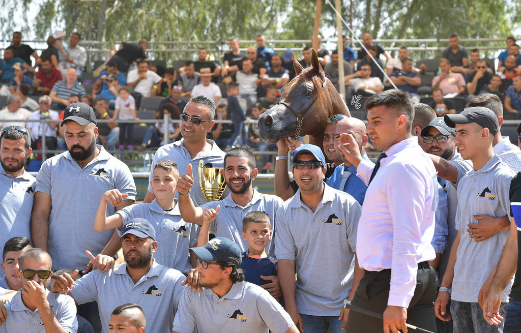 Stallions 6-8 Years: TH Shadeen