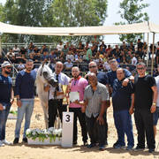 Stallions 4 Years: Ghadir AA