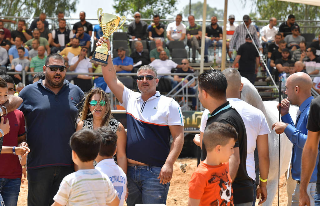 Mares 10+ Years: MA Lamina