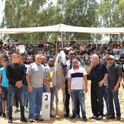 Mares 6-8 Years: Touleen