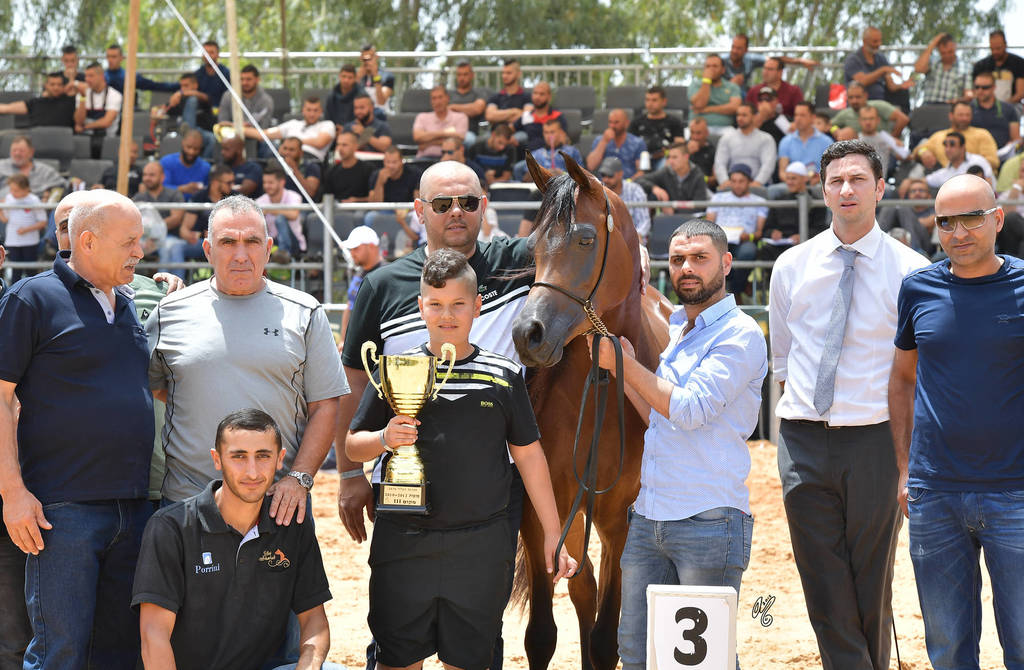 Mares 6-8 Years: G Aleta G