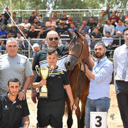 Mares 6-8 Years: G Aleta G