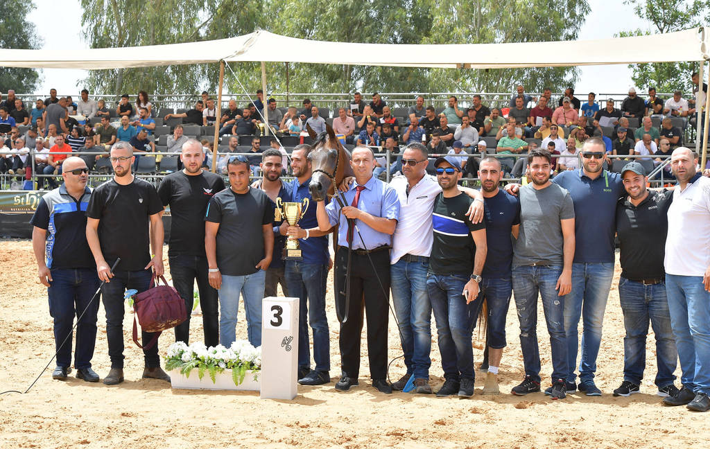 Mares 4-5 Years: Taliya AH