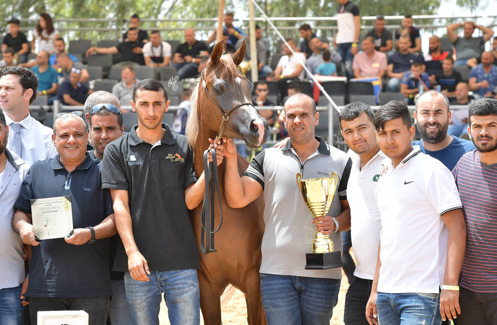 Mares 4-5 Years: Hakaia Ein Al Jamal