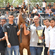 Mares 4-5 Years: Hakaia Ein Al Jamal