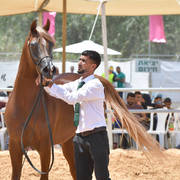 Stallions 4 Years: Jordan Kenan