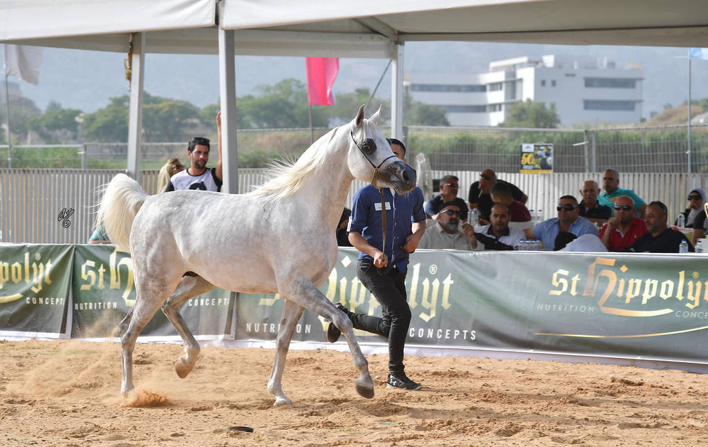 Colts 3 Years: Neymar 
