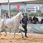 Colts 3 Years: Neymar 
