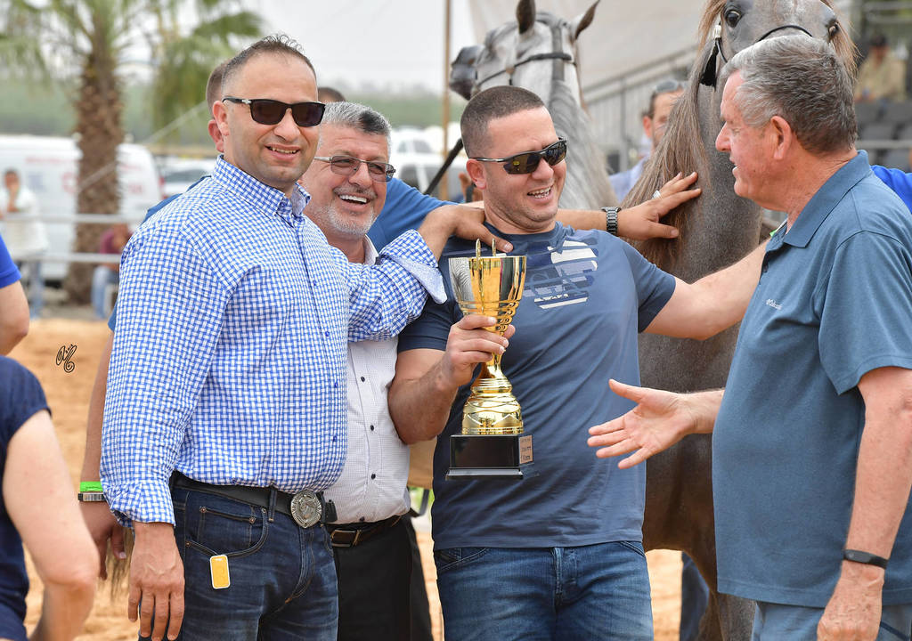 Fillies 2 Years: Fadiaa HD