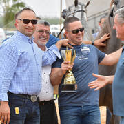 Fillies 2 Years: Fadiaa HD