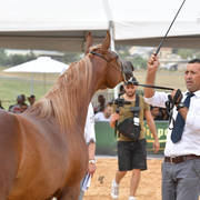 Fillies 2 Years: Gaida FM