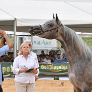 Fillies 2 Years: Gazal Al Yasmin