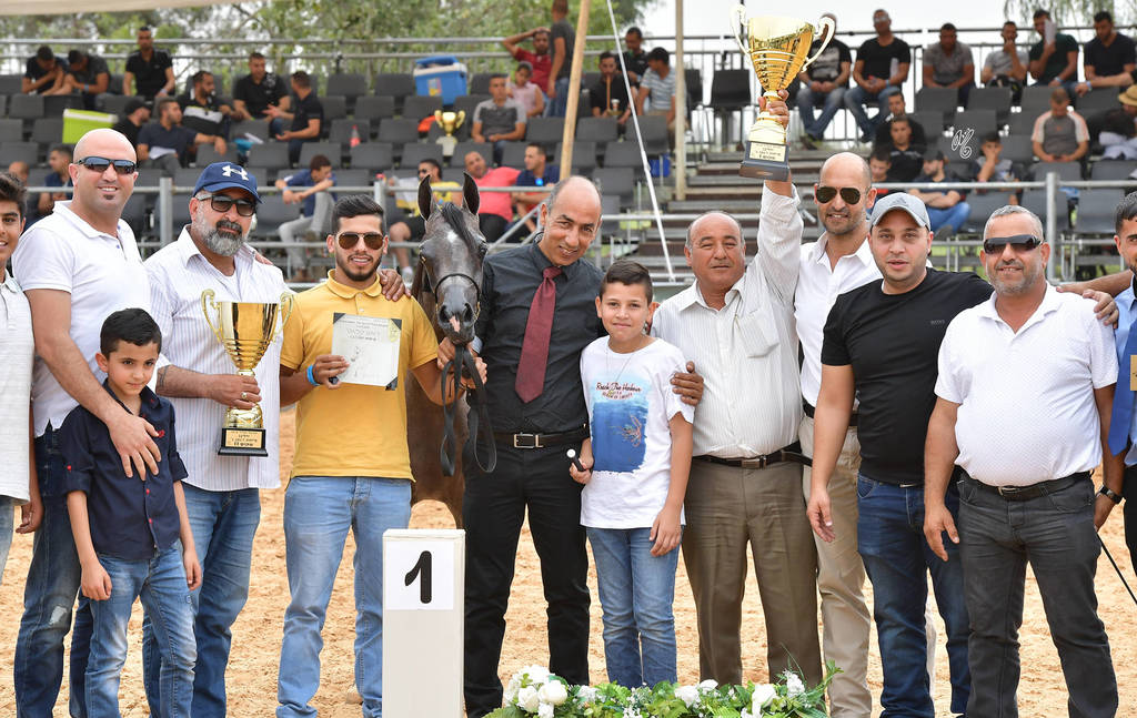 Yearling Filly: Murjana Al Qamar FA