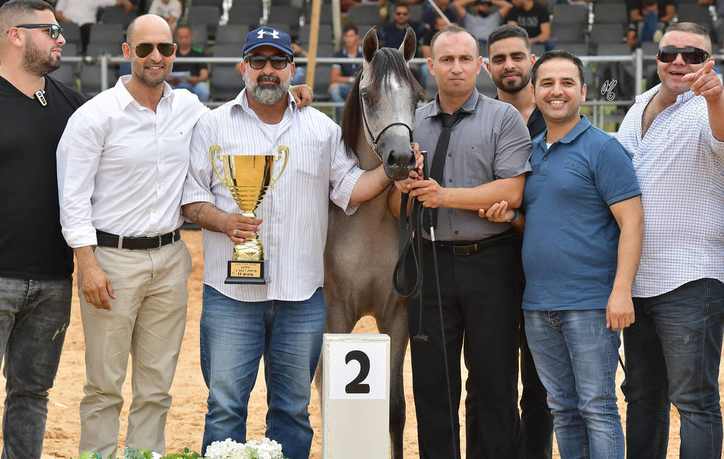 Yearling Filly: Wasal Al Amal