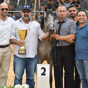 Yearling Filly: Wasal Al Amal