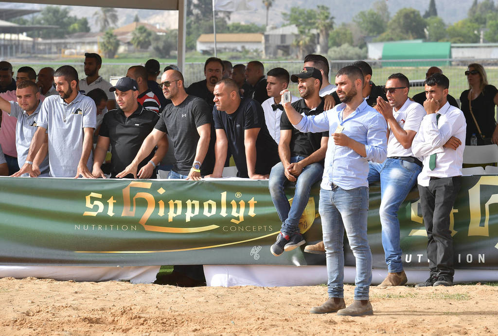 Lisa Abraham: The 2018 Galilee Show Photo Gallery