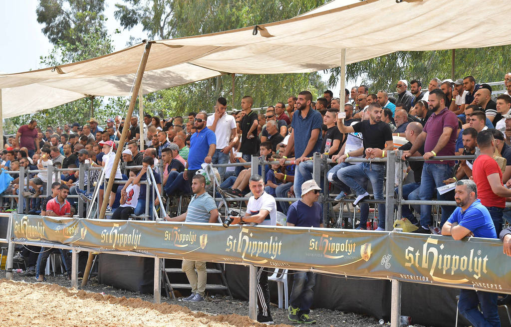 Lisa Abraham: The 2018 Galilee Show Photo Gallery