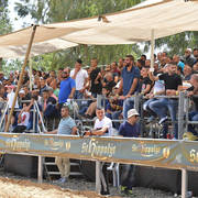 Lisa Abraham: The 2018 Galilee Show Photo Gallery