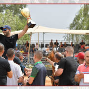 Lisa Abraham: The 2018 Galilee Show Photo Gallery