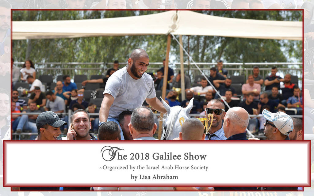 Lisa Abraham: The 2018 Galilee Show Photo Gallery