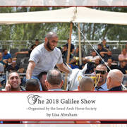 Lisa Abraham: The 2018 Galilee Show Photo Gallery