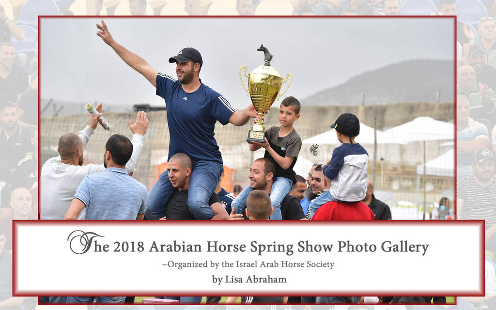Lisa Abraham: The 2018 Israeli Spring Show Photo Gallery