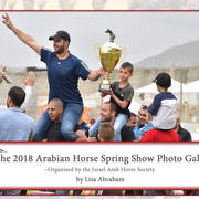 Lisa Abraham: The 2018 Israeli Spring Show Photo Gallery