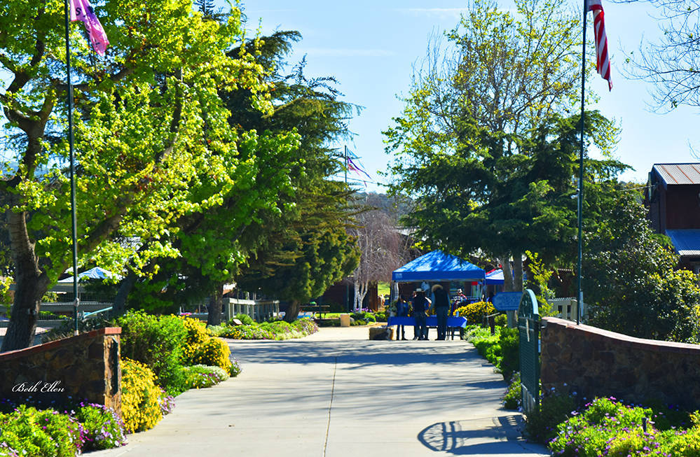 Varian Arabians Hands-On Clinic