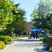 Varian Arabians Hands-On Clinic