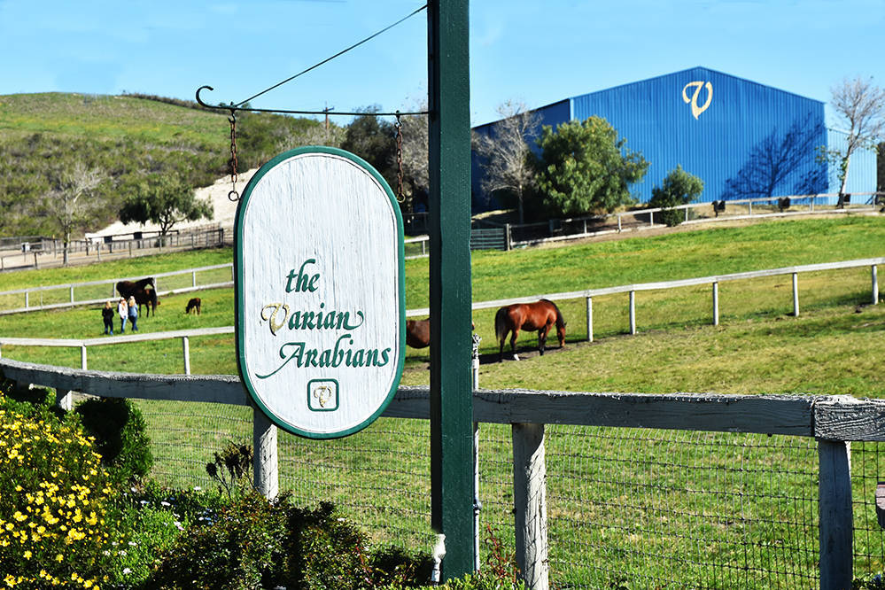 Varian Arabians Hands-On Clinic