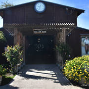 Varian Arabians Hands-On Clinic