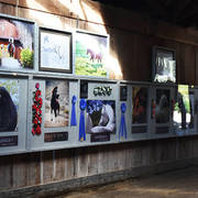 Varian Arabians Hands-On Clinic