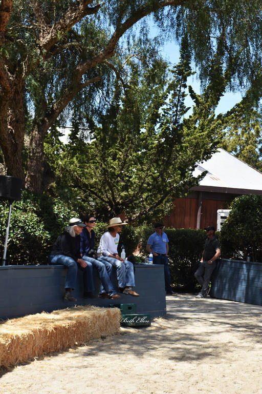 Varian Arabians Hands-On Clinic