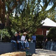 Varian Arabians Hands-On Clinic