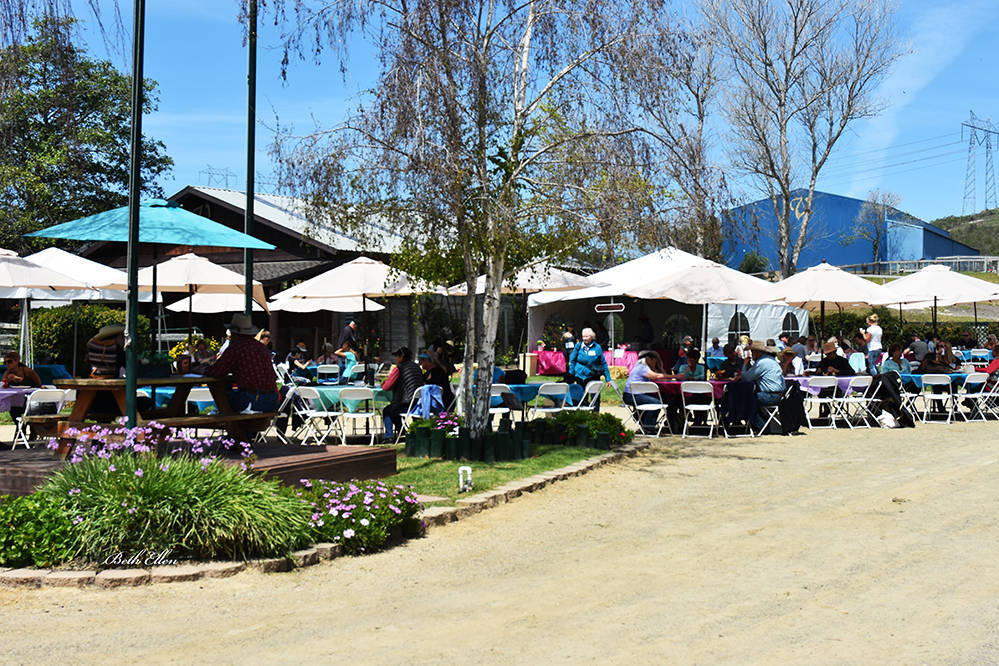 Varian Arabians Hands-On Clinic