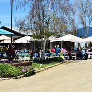 Varian Arabians Hands-On Clinic