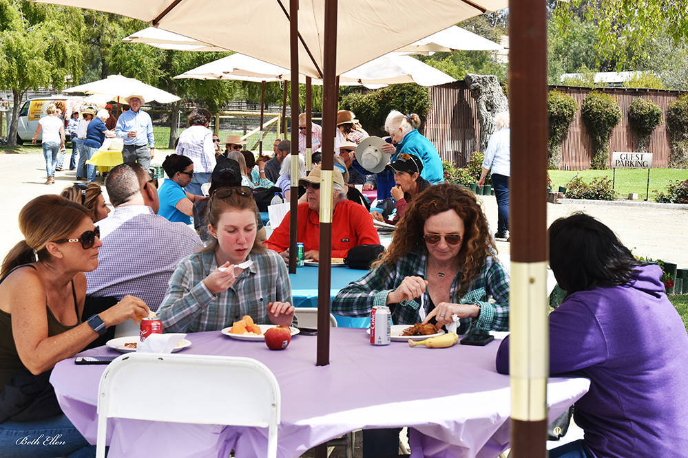 Varian Arabians Hands-On Clinic