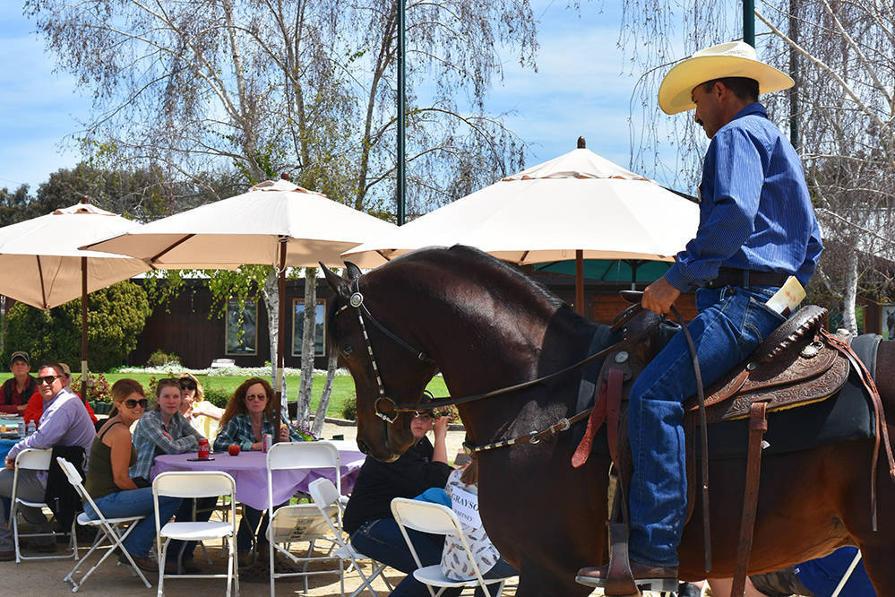 Varian Arabians Hands-On Clinic