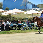 Varian Arabians Hands-On Clinic