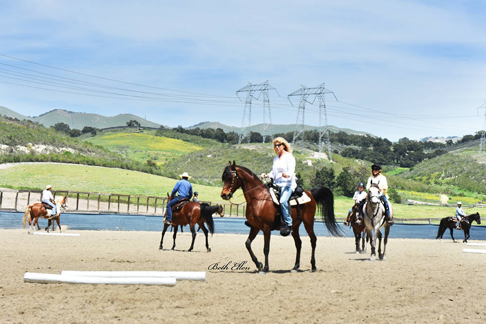 Varian Arabians Hands-On Clinic