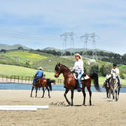 Varian Arabians Hands-On Clinic