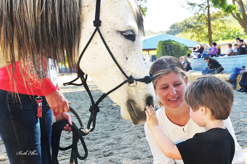Varian Arabians Hands-On Clinic