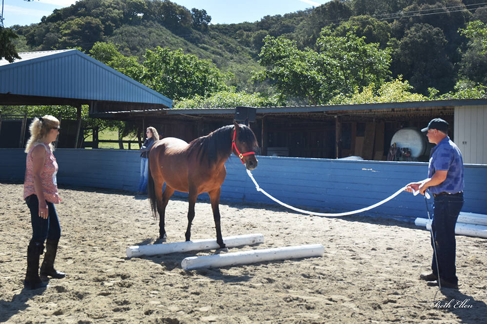 Varian Arabians Hands-On Clinic