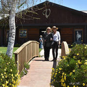 Varian Arabians Hands-On Clinic