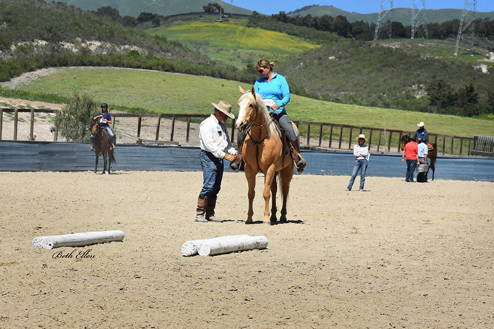 Varian Arabians Hands-On Clinic