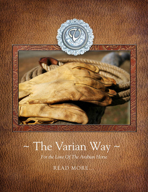 Varian Arabians Hands-On Clinic