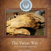 Varian Arabians Hands-On Clinic