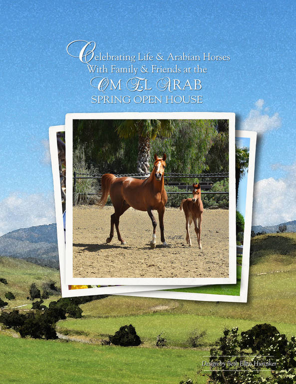 Om El Arab Open House