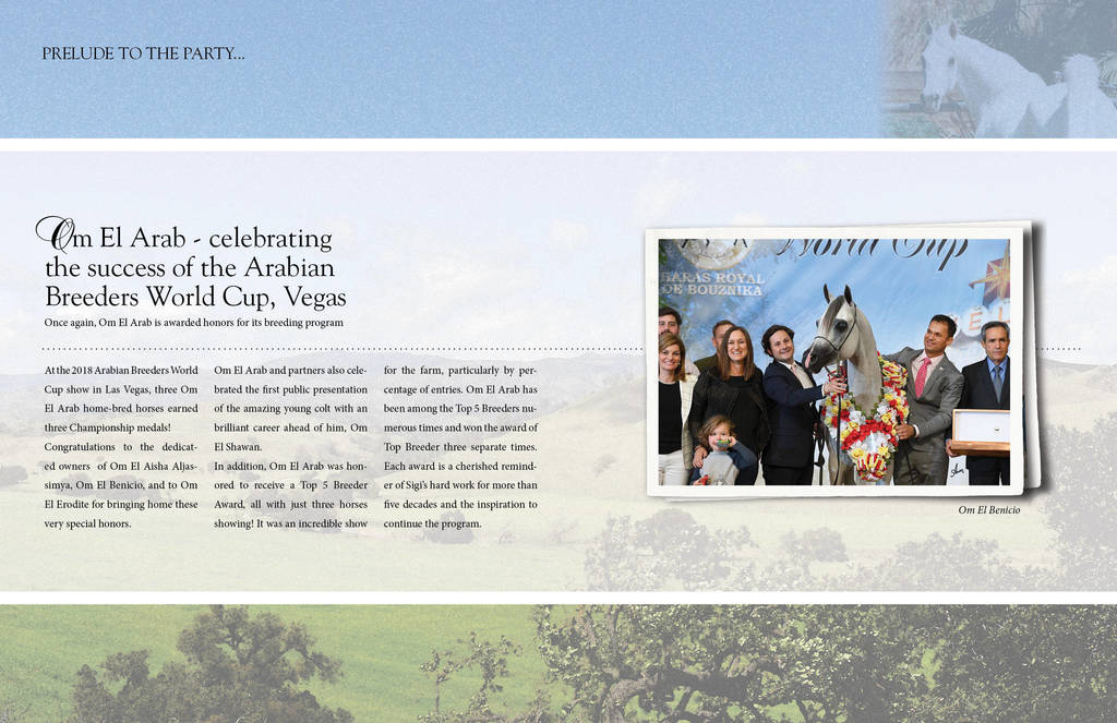 Om El Arab Open House