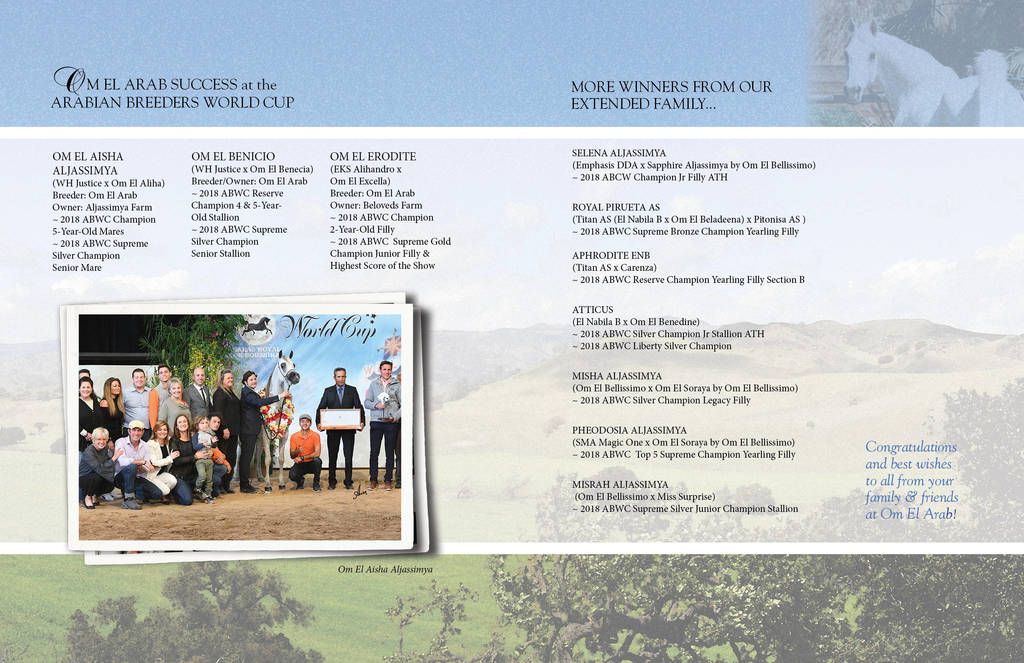 Om El Arab Open House